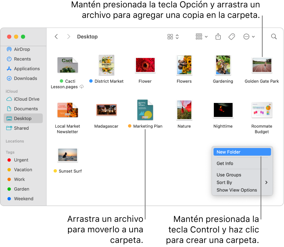 mejor manera de organizar archivos en macos